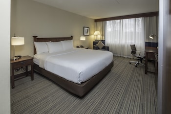 Room, Accessible (Roll-in Shower)