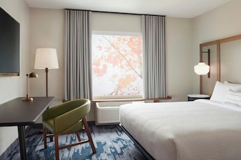 Room, 1 King Bed with Sofa bed