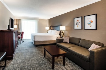 Premium Room, 1 King Bed with Sofa bed, Pool View