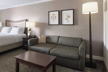 Standard Room, 1 King Bed with Sofa bed