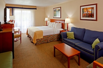 Premium Room, 1 King Bed with Sofa bed, Pool View
