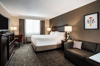 Standard Room, 1 King Bed with Sofa bed