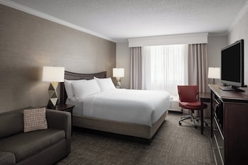 Standard Room, 1 King Bed with Sofa bed