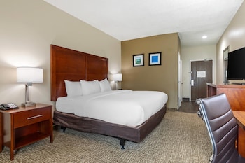 Room, 1 King Bed, Accessible, Non Smoking (Roll-In Shower)