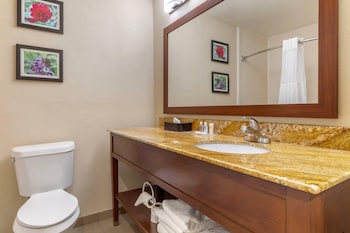Suite, 1 King Bed with Sofa bed, Non Smoking