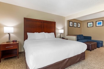 Suite, 1 King Bed with Sofa bed, Non Smoking