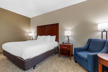 Room, 1 King Bed, Accessible, Non Smoking (Accessible Tub)
