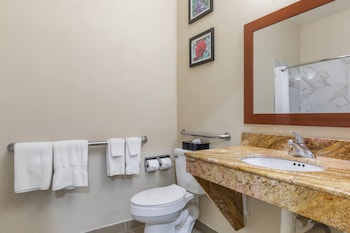 Room, 1 King Bed, Accessible, Non Smoking (Roll-In Shower)