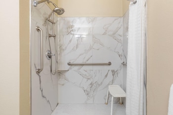 Room, 1 King Bed, Accessible, Non Smoking (Roll-In Shower)