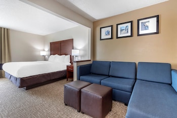 Suite, 1 King Bed with Sofa bed, Non Smoking