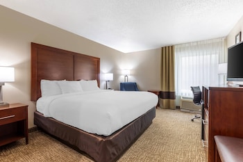 Standard Room, 1 King Bed, Non Smoking