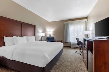 Room, 1 King Bed, Accessible, Non Smoking (Accessible Tub)