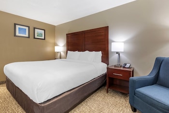 Standard Room, 1 King Bed, Non Smoking