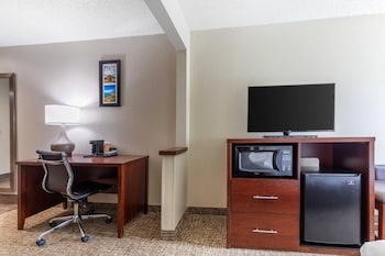 Suite, 1 King Bed with Sofa bed, Non Smoking