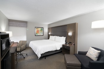 Standard Room, 1 King Bed, Accessible (Communications)