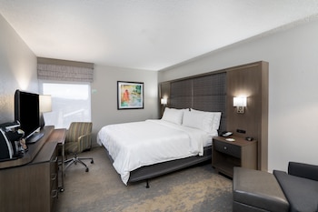 Standard Room, 1 King Bed, Accessible (Communications)