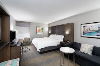 Standard Room, 1 King Bed, Accessible (Communications)