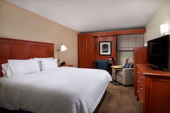 Room, 1 King Bed, Non Smoking