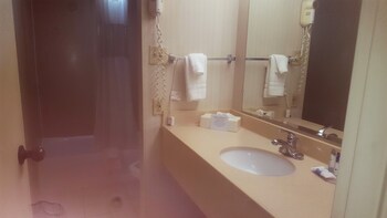 Executive Suite, 1 King Bed with Sofa bed