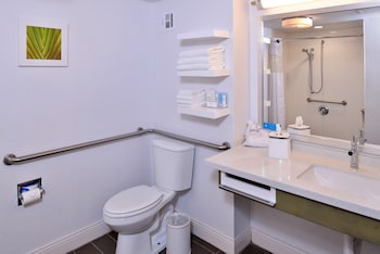 Room, 1 King Bed, Accessible (Mobility & Hearing, Roll-in Shower)
