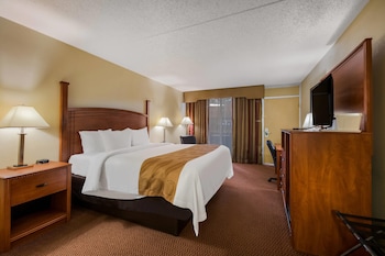 Standard Room, 1 King Bed, Non Smoking (Parking Area View)