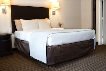 Signature Single Room, 1 King Bed