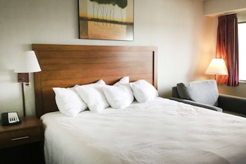 Room, 1 King Bed, Accessible, Non Smoking (Mobility)