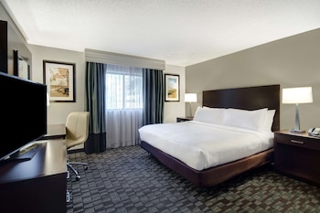 Room, 1 King Bed, Accessible (Mobility & Hearing, Roll-in Shower)