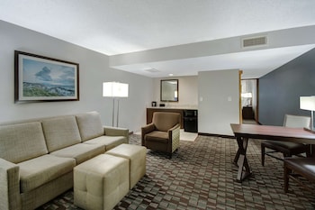 Room, 1 King Bed, Accessible (Mobility & Hearing, Roll-in Shower)