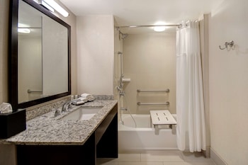 Room, 1 King Bed, Accessible, Bathtub (Mobility & Hearing)