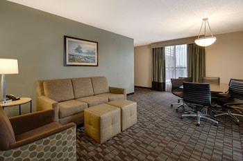 Suite, 1 King Bed (South Wing, Conference)