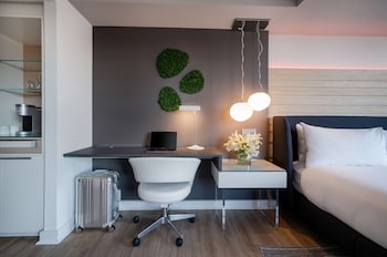 Studio, 1 King Bed (Zena Circle View)