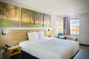 Room, 1 King Bed, Non Smoking