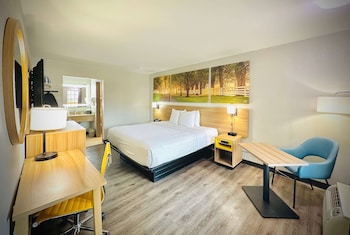 Room, 1 King Bed, Non Smoking