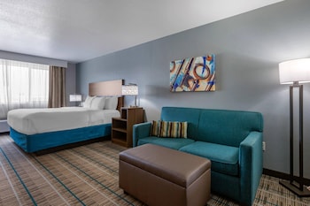Standard Room, 1 King Bed, Non Smoking (Efficiency)