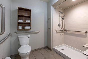 Room, 1 King Bed, Accessible, Non Smoking (Efficiency)