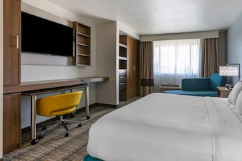 Room, 1 King Bed, Accessible, Non Smoking (Efficiency)