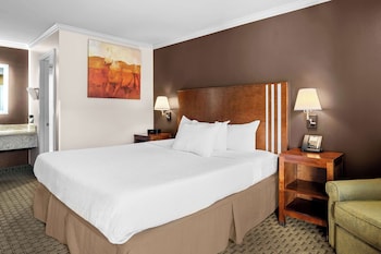 Standard Room, 1 Queen Bed, Non Smoking, Refrigerator & Microwave