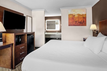 Suite, Multiple Beds, Refrigerator & Microwave (Walk-in Shower)