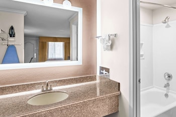 Standard Room, 1 King Bed, Accessible, Refrigerator & Microwave (Walk-in Shower)