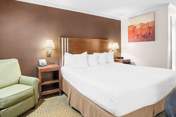 Standard Room, 1 King Bed, Accessible, Refrigerator & Microwave (Walk-in Shower)