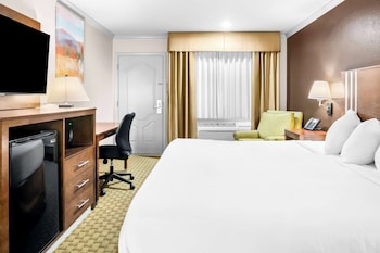 Standard Room, 1 King Bed, Accessible, Refrigerator & Microwave (Walk-in Shower)