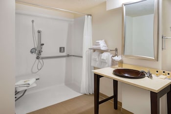 Room, 1 King Bed, Accessible, Non Smoking (Mobility Roll-In Shower)