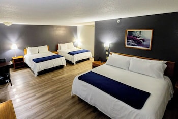 Suite, Multiple Beds