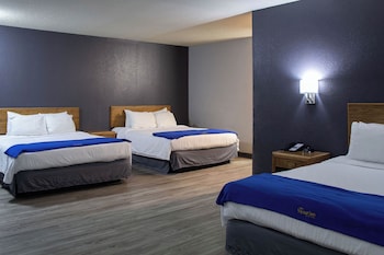 Suite, Multiple Beds