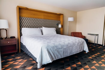 Standard Room, 1 King Bed, Roll-in Shower (Mobility Accessible)