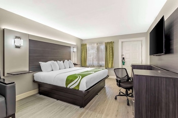Standard Room, 1 King Bed, Non Smoking