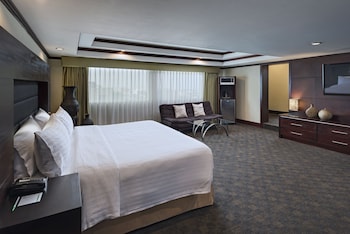 Suite, 1 King Bed