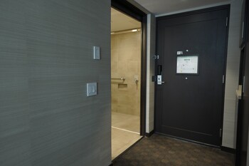 Standard Room, 1 King Bed, Roll-in Shower (Mobility Accessible)