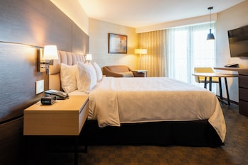 Standard Room, 1 King Bed, Roll-in Shower (Mobility Accessible)